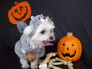 halloweenVCA_074 (1).JPG